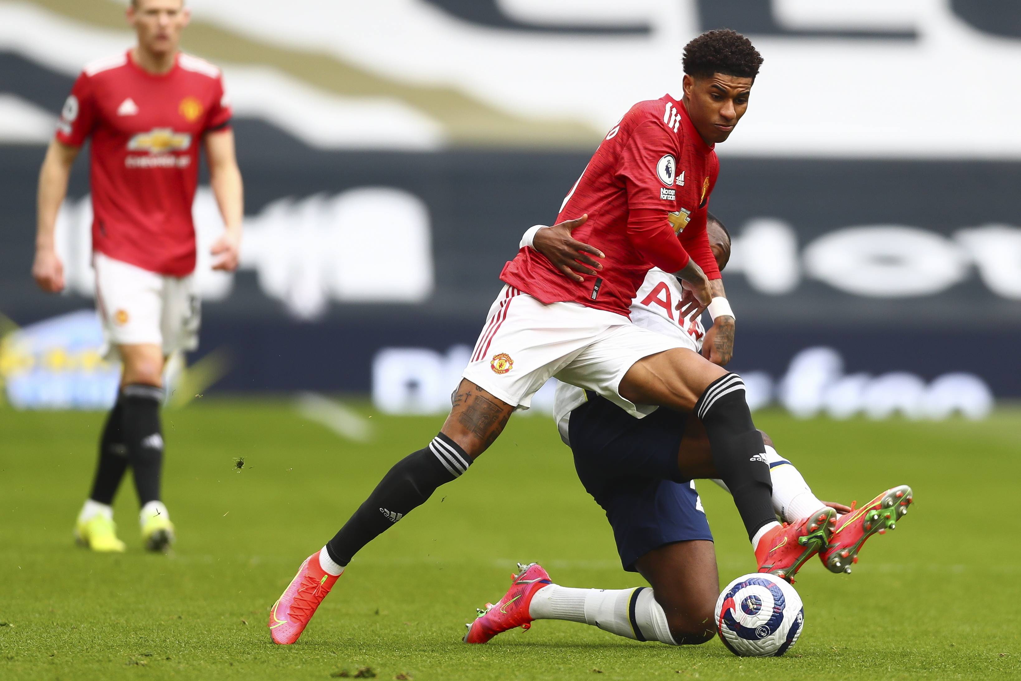 这位在荷兰 这位在荷兰