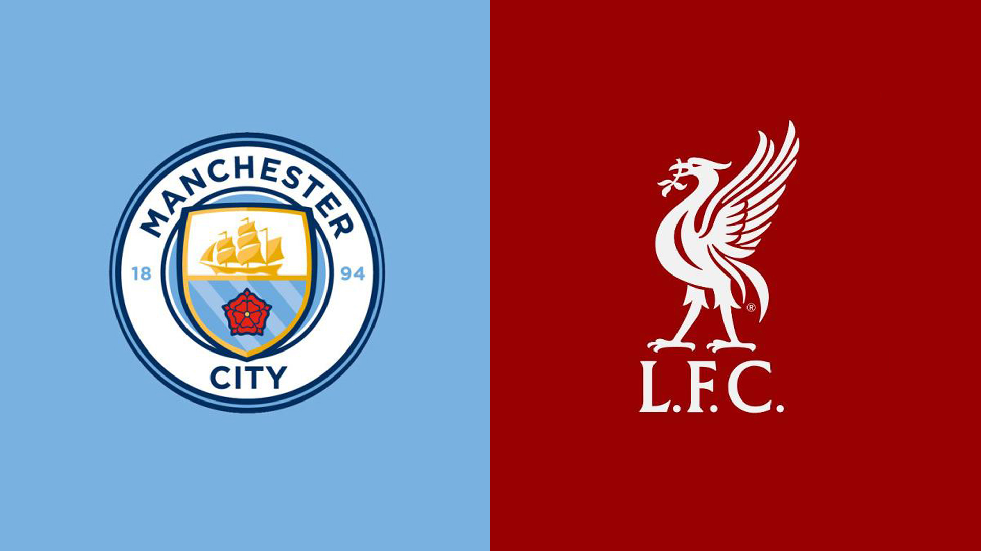 获得了广泛 获得了广泛